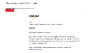 What Is Amazon Otp: A Quick Anti-scam Guide